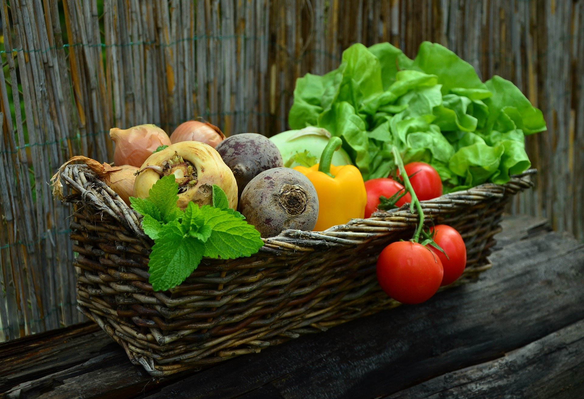 dieta vegetariana